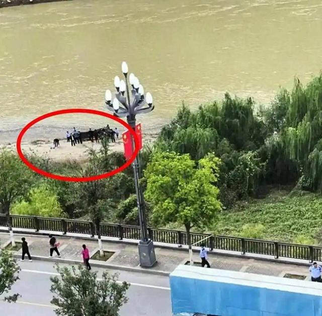 跳河新郎后续：男方婚车上痛哭，女方减肥考研不领证，18万8已退