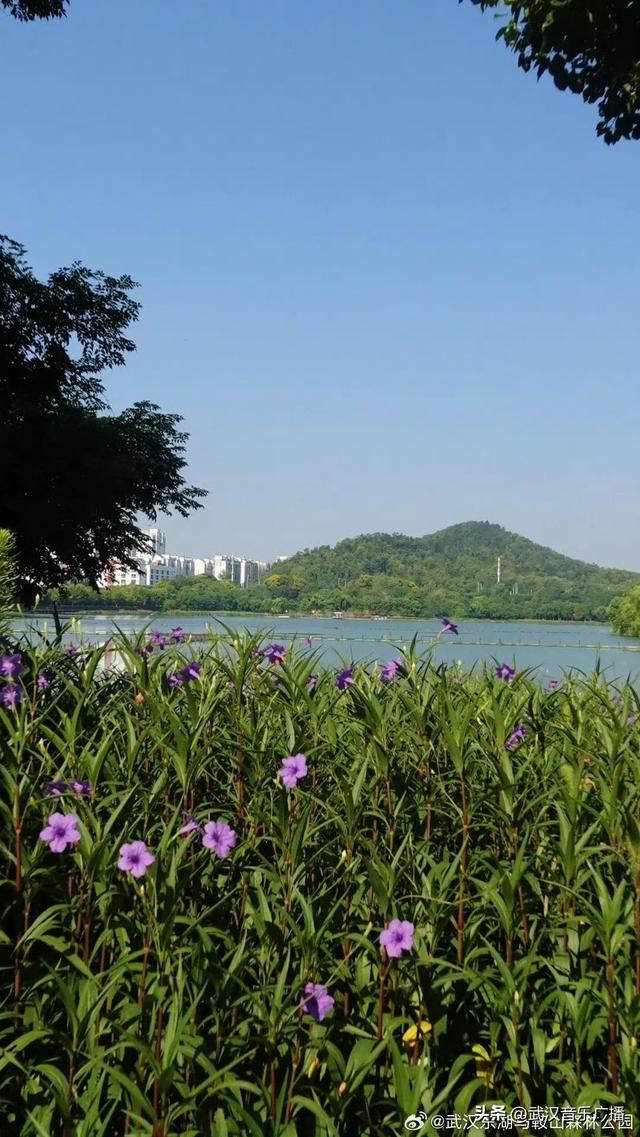 我要离开“浪浪山”！来森林公园浪一浪！