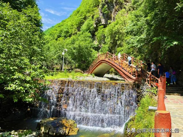 夏季避暑有“凉”方,黑河山水邀你共赴清凉盛宴!
