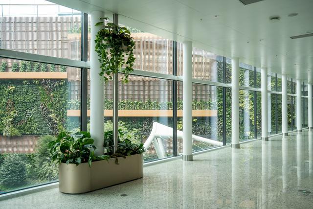 广州白云T3航站楼启用：全国最大单体机场诞生，岭南花城新地标