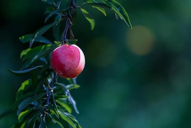 氛围感拉满！集安的秋天，藏着最治愈的人间烟火