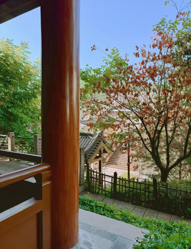 藏在秦岭深处的唐密佛国，千年古刹按密宗规制而建，免票却少人知