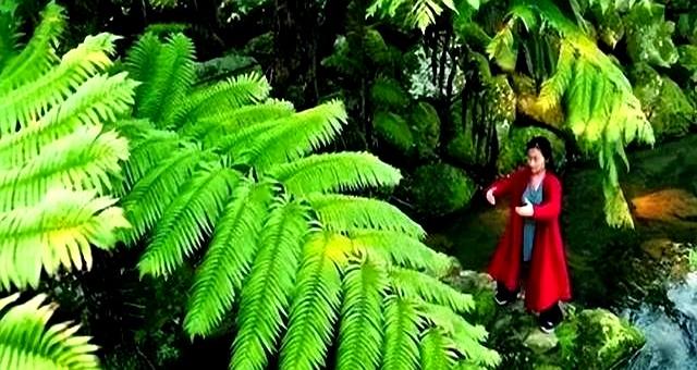 这个细节，或许你练太极拳没有重视！花两分钟看看吧，不耽误你