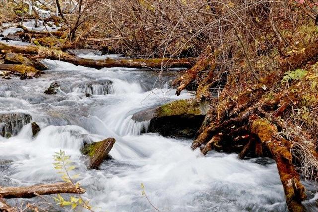 四川这个地方的初冬，是彩色的！