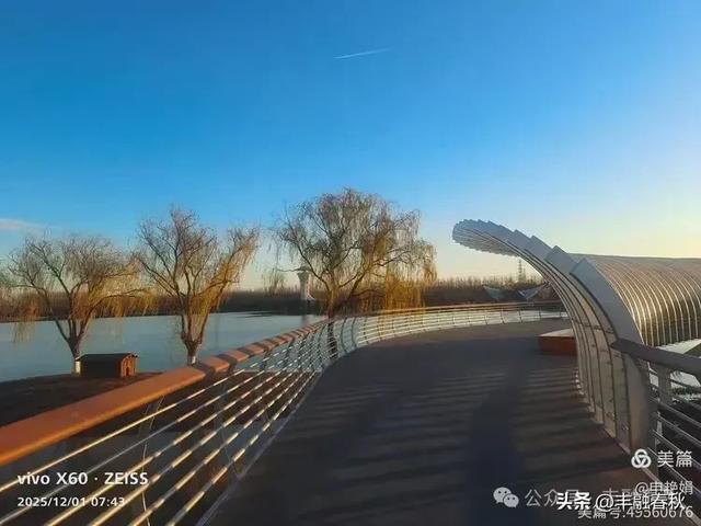 初冬北京朝阳坝河金盏淀：清寒里的静美画卷｜申艳娟
