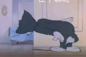 可爱表情包 | 在干嘛呀图片