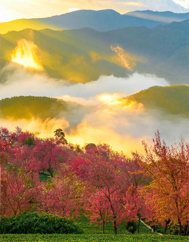 均温25℃，游客仅大理1%！云南这座小城，只有冬天才会被想起