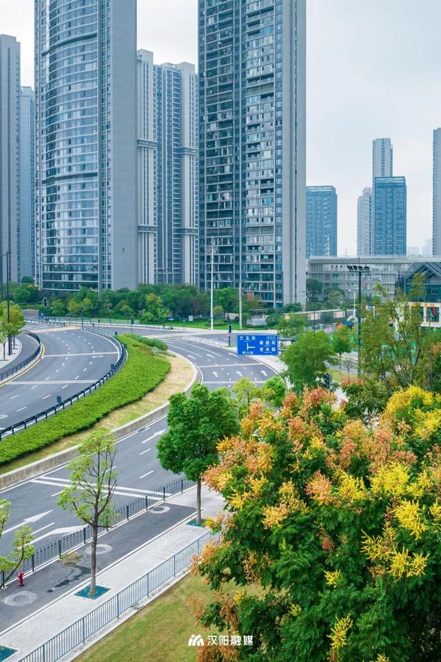 上央视！汉阳这条大道凭什么成顶流？