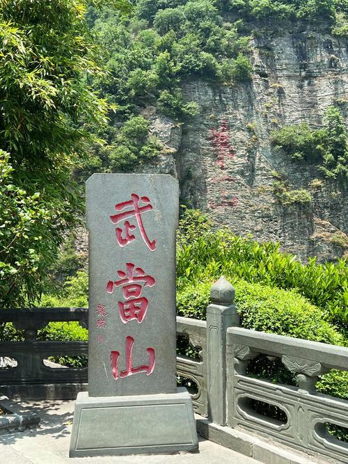 游客手机拍下神秘瞬间，这画面直接让人头皮发麻！