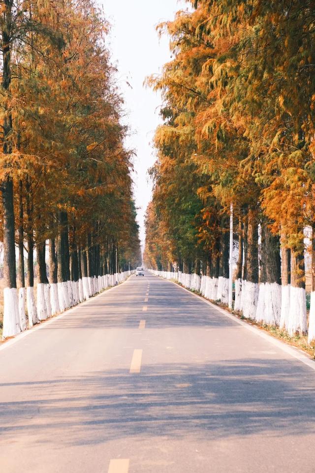 珠海市区或市区附近有什么赏秋的地方？