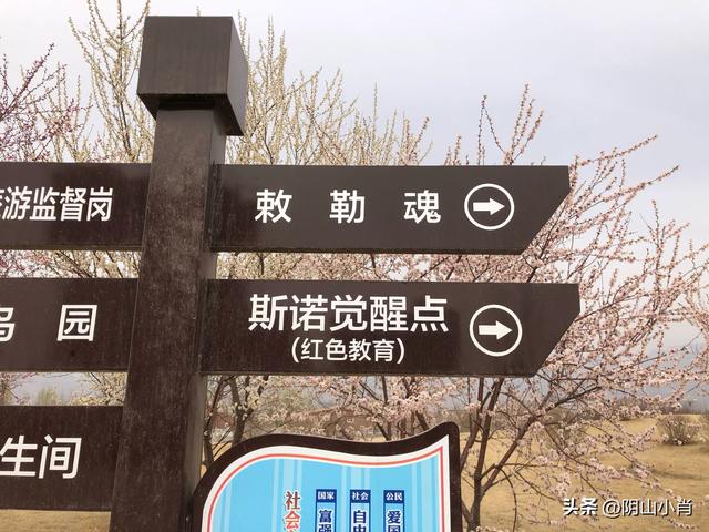 包头市土默特右旗部分文物保护单位考察笔记（上）