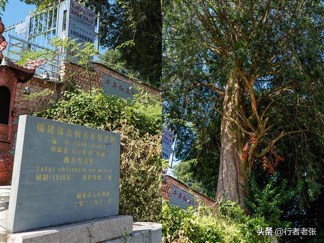 走遍福建古村落，一座千年太后坊一条百年奈何桥，白云山下晓阳村