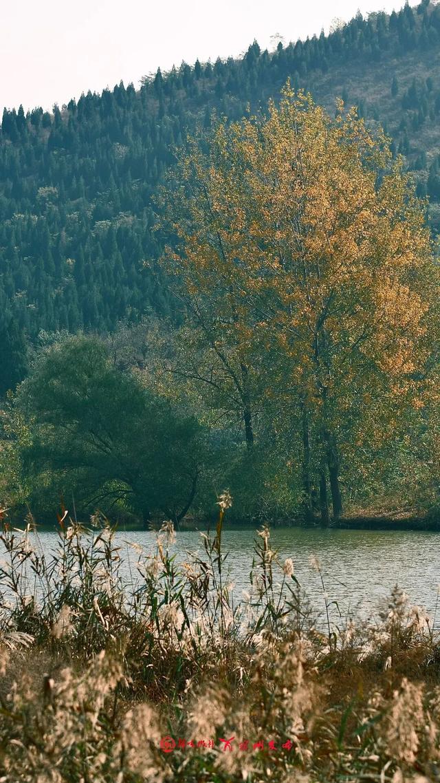 宿州私藏了个“小九寨沟”！就在萧县官桥镇，美到犯规！