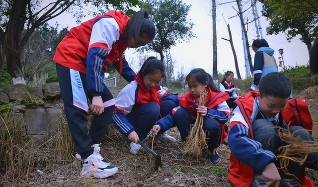 教育部扔下重磅炸弹：2026年开始，全国一律不准再买校外商业试卷