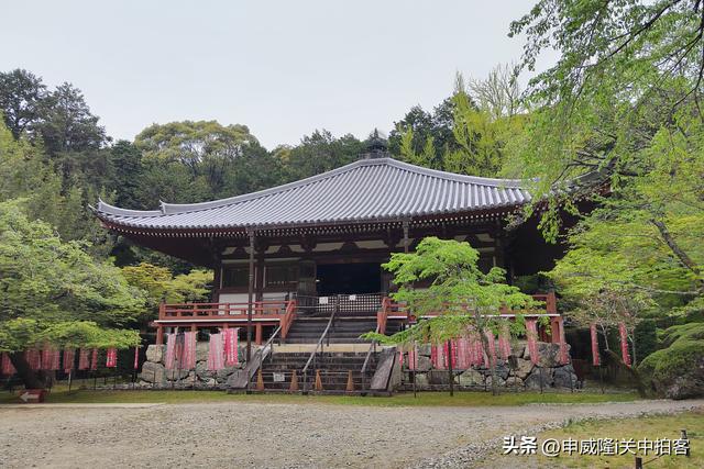 日本京都：走进醍醐寺