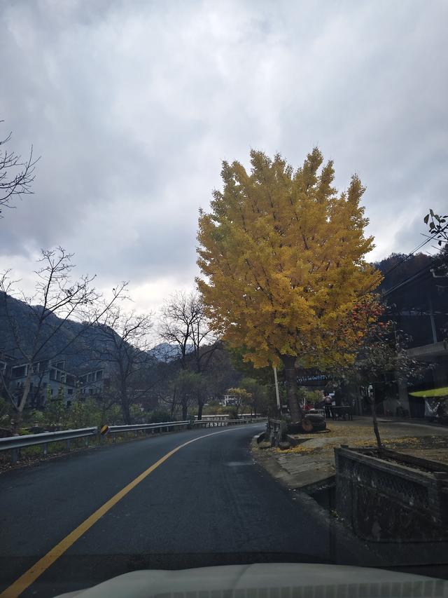 南行漫记：329公里的穿越之路，带你一起看红叶