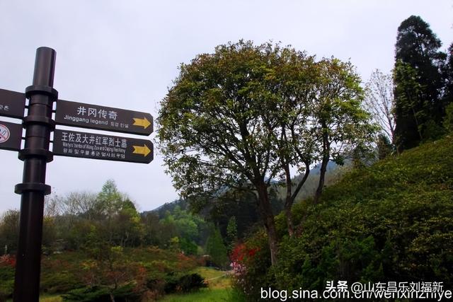 领袖峰及其它（江西之旅第八十五篇）