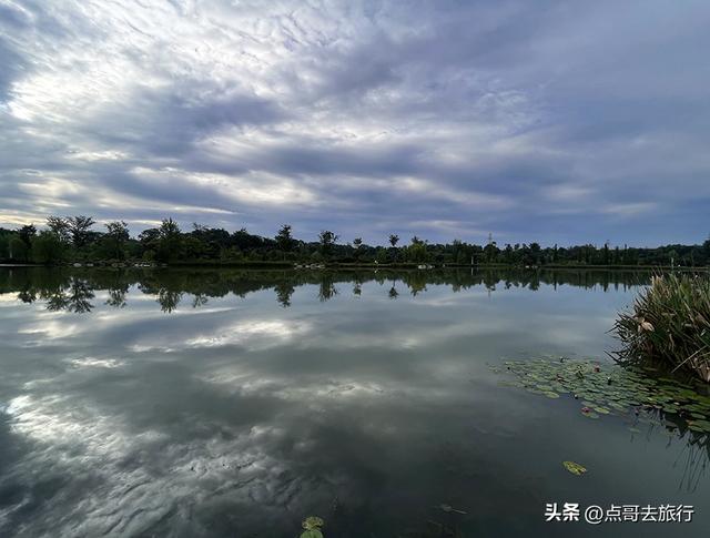 成都最近的原野公园，超级惊艳，一个湖风景就是王者，公交直达！