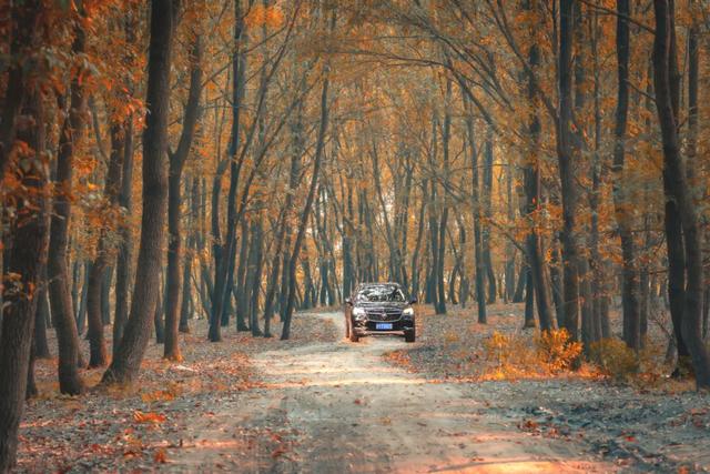 一键收藏!明光南部2025年秋景大赏