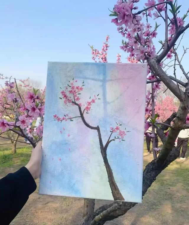 悦遵义·赴春约|三渡镇赏花游活动来啦!!!