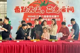 17种松江产番茄同台打擂，你最喜欢哪一款？图片