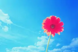 准亲家见面时，聪明的父母不会说这三句话，糊涂的父母张口就来图片