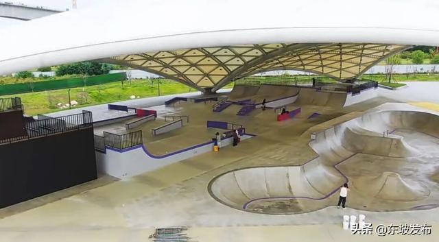 新场景 新玩法 东坡这些地方等你来“拔草”！