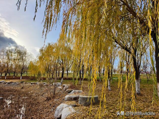 新疆昌吉头屯河公园