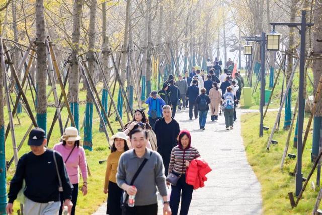 银杏谷旅游度假区缘何火爆出圈？