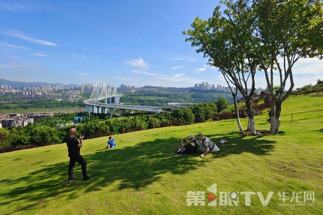 惟实笃行 重庆争先④｜山水之城“绿动能”