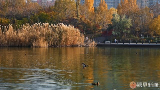 循香入画乌鲁木齐 跟着《红石榴餐厅》开启剧情场景 Citywalk 之旅