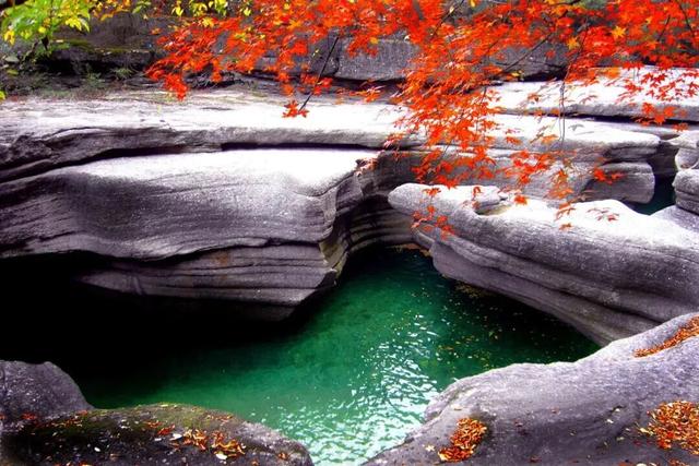 成都出发2.5h刹拢最绝红叶之城！秋色媲美九寨，一城吃够三省美食！更有山林温泉泡过瘾！