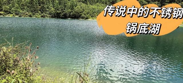 徒步随感---涪陵武陵山国家森林