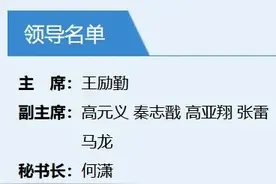 刘国梁辞职留给新主席王励勤的几大难题！图片
