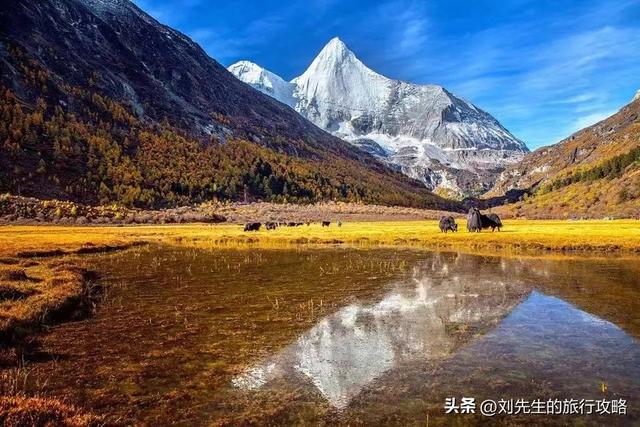 把秋天装进相册！这8个神仙目的地，让你拍出封神大片！
