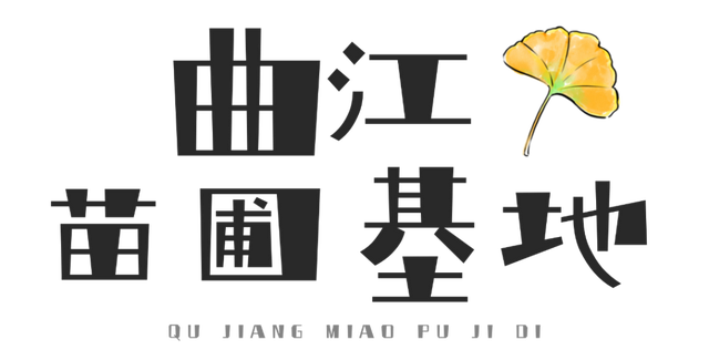 含“金”量100%！是时候来仁寿，邂逅一抹银杏黄啦~