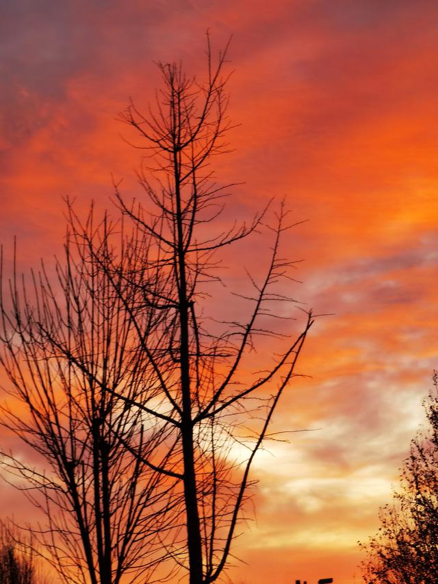 赏京城朝霞垚地扶风偶得楹联请头条师友品鉴 并请任意和对上下联