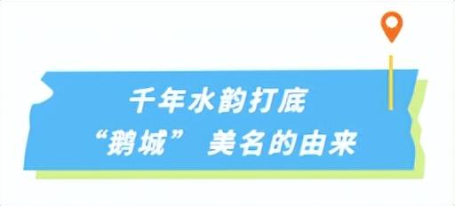邯郸这里有个“天鹅湖”！