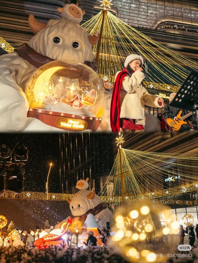 长春一网红街“上新”！超多人已赶去打卡