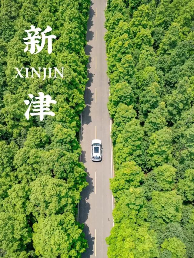 收！新津夏日说明书！