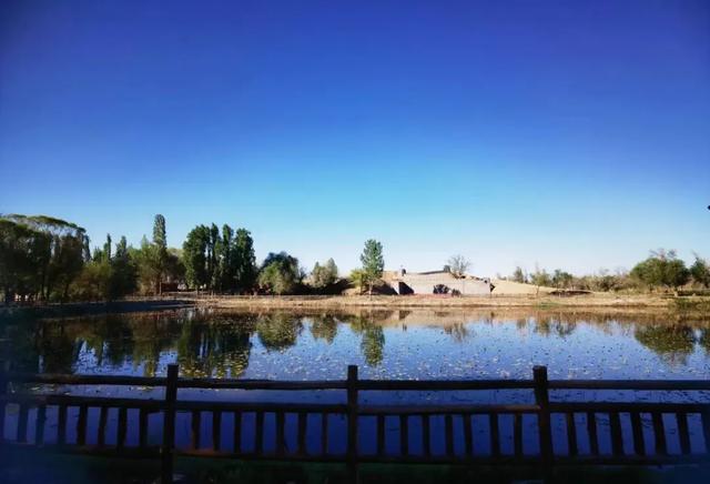 【青湖文艺】碧波、稻香与椒蒿鱼的故乡