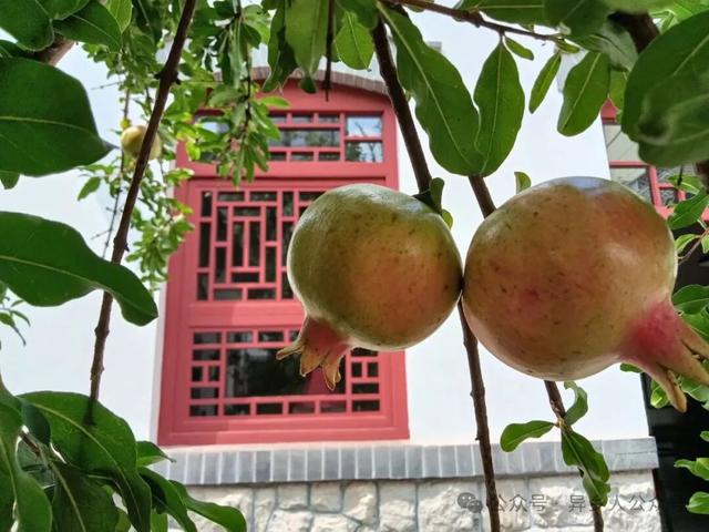 山东省济南市各地的历史建筑