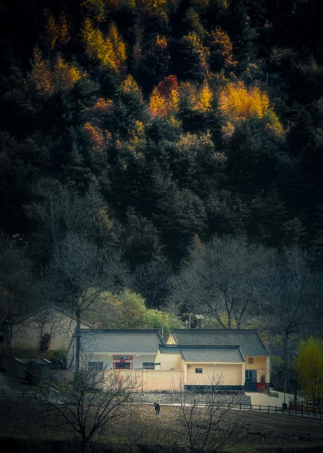 最适合老年人开车自驾的10条秋游路线，路况好，风景美！