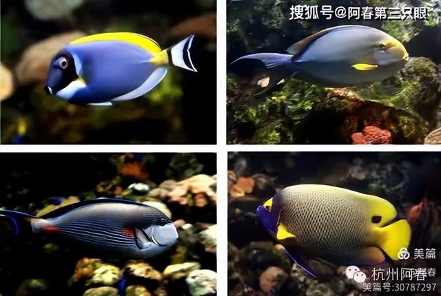 大连 之海洋世界