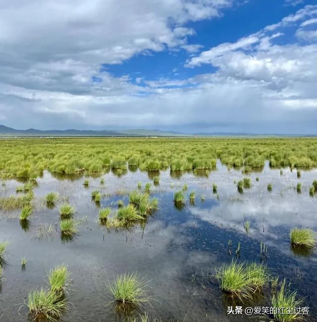 我的旅行日记——来到若尔盖花湖，不见漫天的花海