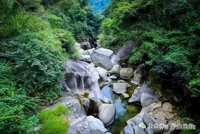 穿越唐帽山森林秘境