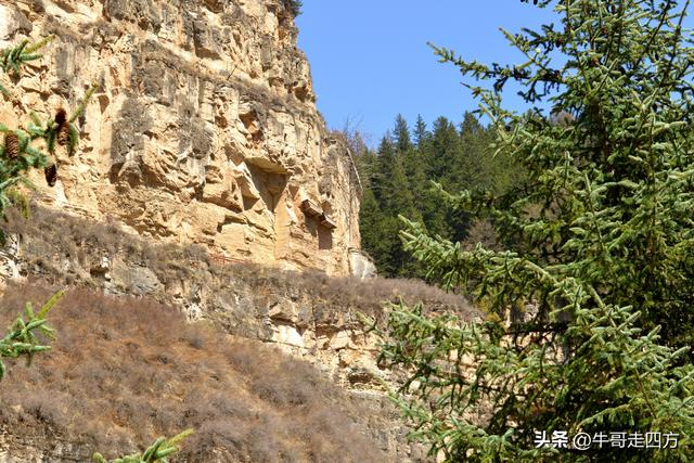 山西宁武石门悬棺：万仞崖龛藏古柩、千年石棺映翠岚