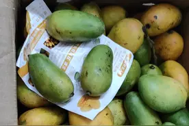 拼多多就是一个大坑，以后买东西要谨慎！图片