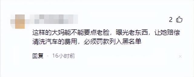 湖北小伙报老年旅行团，大妈在车上当众大便，全车被熏得捂鼻干呕