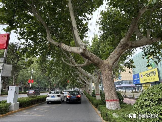 冠县印记·兴贸路